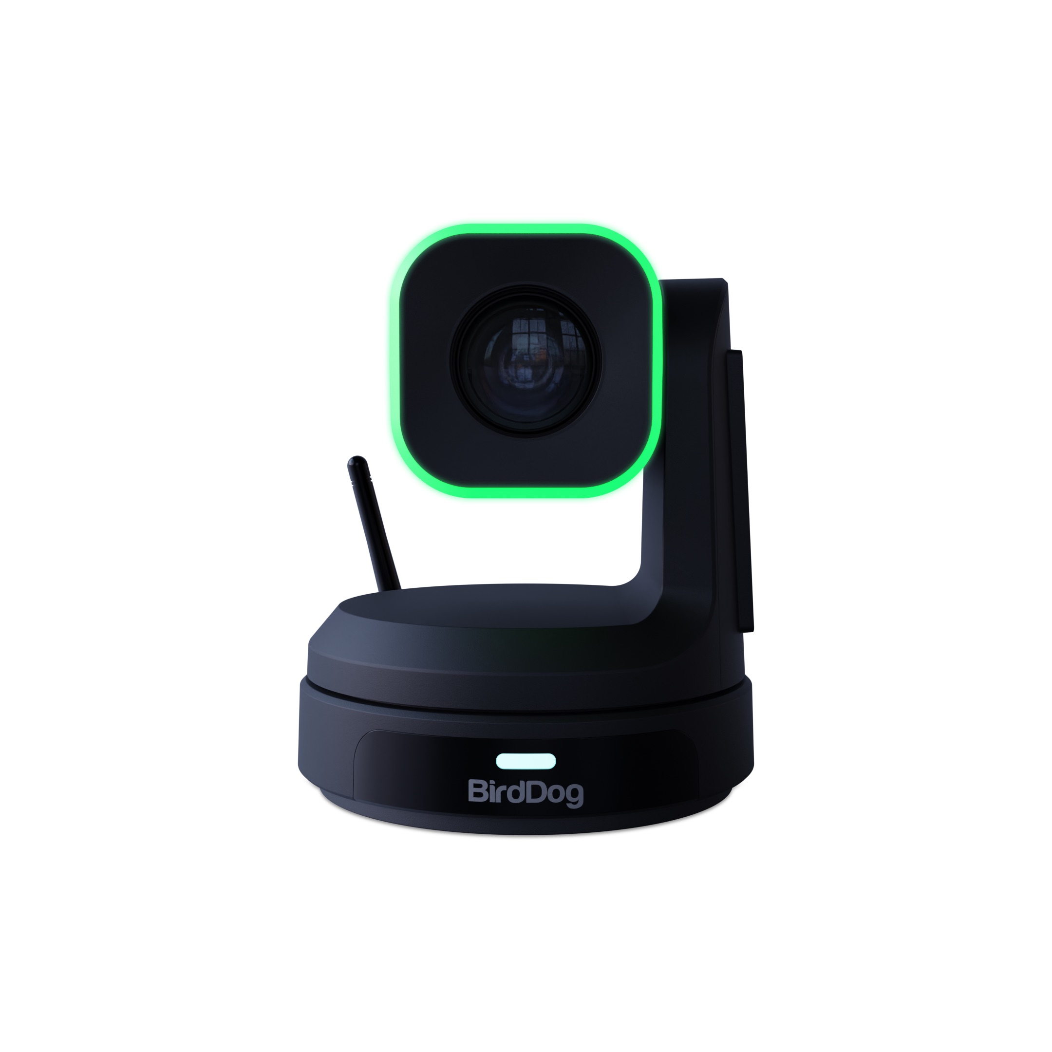BirdDog X1 Black - Afbeelding 2