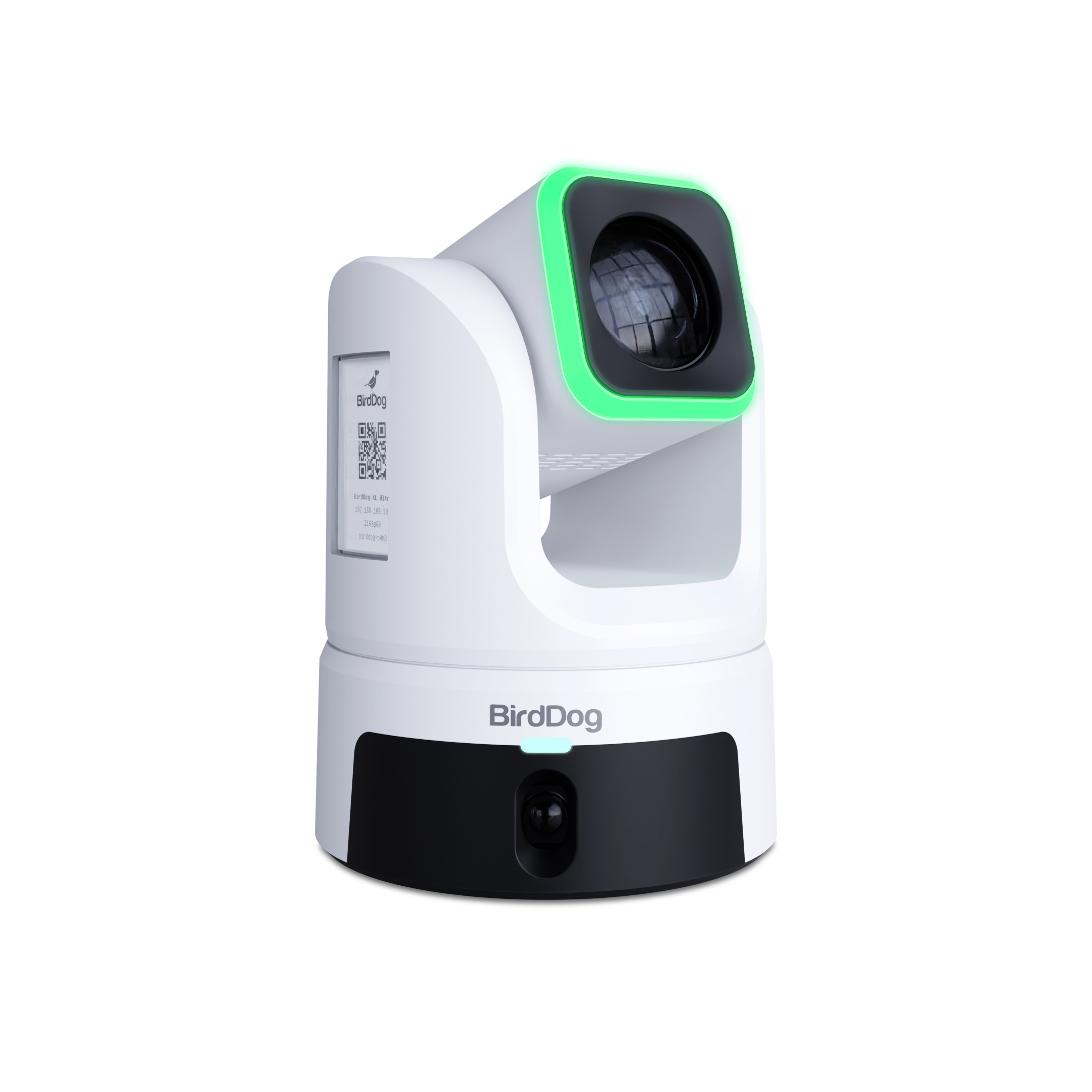 BirdDog XL Ultra - White - Afbeelding 3