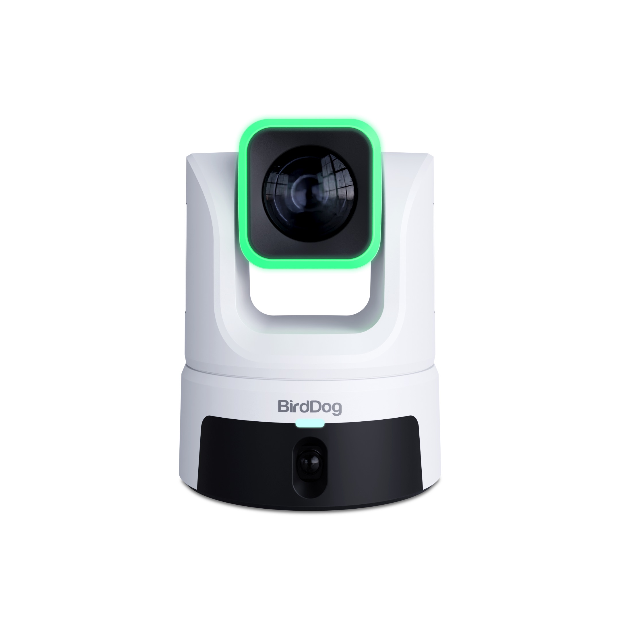 BirdDog XL Ultra - White - Afbeelding 2